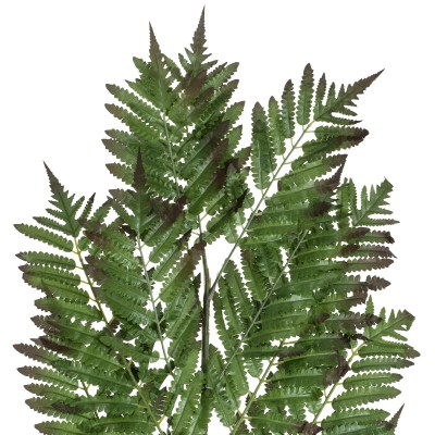 GloboStar® Artificial Garden ALSOPHILA FERN LEAF 20178 Τεχνητό Διακοσμητικό Φύλο Φτέρης Π60 x Υ180cm GloboStar® Artificial Garden ALSOPHILA FERN LEAF 20178 Τεχνητό Διακοσμητικό Φύλο Φτέρης Π60 x Υ180cm