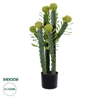 GloboStar® Artificial Garden CEREUS JAMACARU CACTUS 20192 Τεχνητό Διακοσμητικό Φυτό Κάκτος Κηρίος Υ80cm GloboStar® Artificial Garden CEREUS JAMACARU CACTUS 20192 Τεχνητό Διακοσμητικό Φυτό Κάκτος Κηρίος Υ80cm