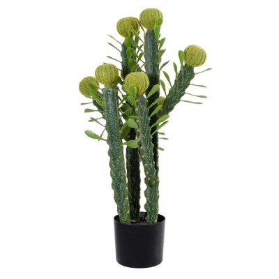 GloboStar® Artificial Garden CEREUS JAMACARU CACTUS 20192 Τεχνητό Διακοσμητικό Φυτό Κάκτος Κηρίος Υ80cm GloboStar® Artificial Garden CEREUS JAMACARU CACTUS 20192 Τεχνητό Διακοσμητικό Φυτό Κάκτος Κηρίος Υ80cm