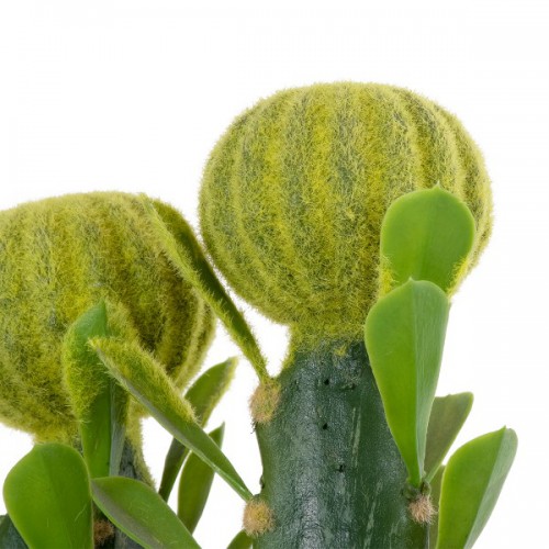 GloboStar® Artificial Garden CEREUS JAMACARU CACTUS 20192 Τεχνητό Διακοσμητικό Φυτό Κάκτος Κηρίος Υ80cm GloboStar® Artificial Garden CEREUS JAMACARU CACTUS 20192 Τεχνητό Διακοσμητικό Φυτό Κάκτος Κηρίος Υ80cm