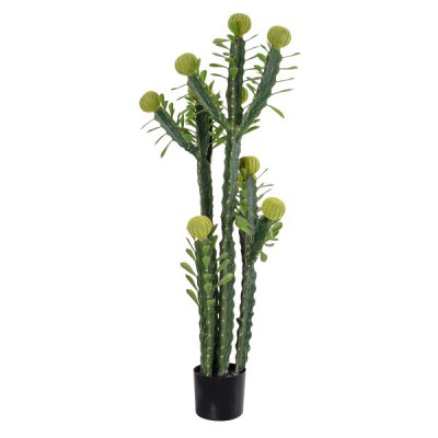 GloboStar® Artificial Garden CEREUS JAMACARU CACTUS 20193 Τεχνητό Διακοσμητικό Φυτό Κάκτος Κηρίος Υ120cm GloboStar® Artificial Garden CEREUS JAMACARU CACTUS 20193 Τεχνητό Διακοσμητικό Φυτό Κάκτος Κηρίος Υ120cm
