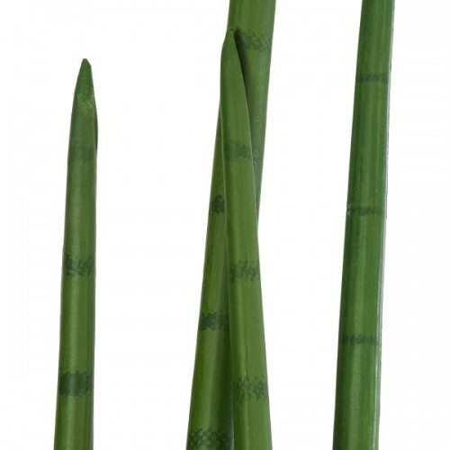 GloboStar® Artificial Garden SANSEVIERIA CYLINDRICA 20210 Τεχνητό Διακοσμητικό Φυτό Σανσεβιέρια Υ120cm GloboStar® Artificial Garden SANSEVIERIA CYLINDRICA 20210 Τεχνητό Διακοσμητικό Φυτό Σανσεβιέρια Υ120cm