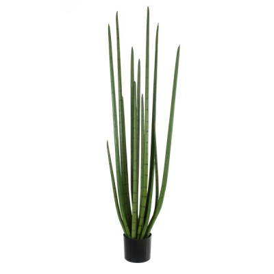 GloboStar® Artificial Garden SANSEVIERIA CYLINDRICA 20211 Τεχνητό Διακοσμητικό Φυτό Σανσεβιέρια Υ160cm GloboStar® Artificial Garden SANSEVIERIA CYLINDRICA 20211 Τεχνητό Διακοσμητικό Φυτό Σανσεβιέρια Υ160cm