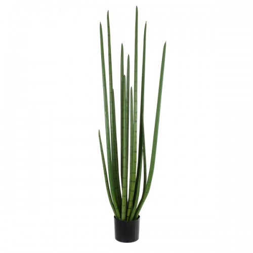 GloboStar® Artificial Garden SANSEVIERIA CYLINDRICA 20211 Τεχνητό Διακοσμητικό Φυτό Σανσεβιέρια Υ160cm GloboStar® Artificial Garden SANSEVIERIA CYLINDRICA 20211 Τεχνητό Διακοσμητικό Φυτό Σανσεβιέρια Υ160cm