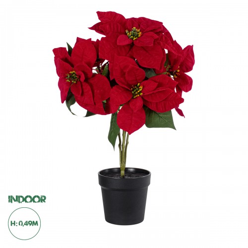 GloboStar® Artificial Garden CHRISTMASS FLOWER EUPHORBIA 20365 Τεχνητό Διακοσμητικό Χριστουγεννιάτικο Λουλούδι Αλεξανδρινό Υ49cm Διακόσμηση - Φως - Χαλιά GloboStar® Artificial Garden CHRISTMASS FLOWER EUPHORBIA 20365 Τεχνητό Διακοσμητικό Χριστουγεννιάτικο Λουλούδι Αλεξανδρινό Υ49cm Διακόσμηση - Φως - Χαλιά