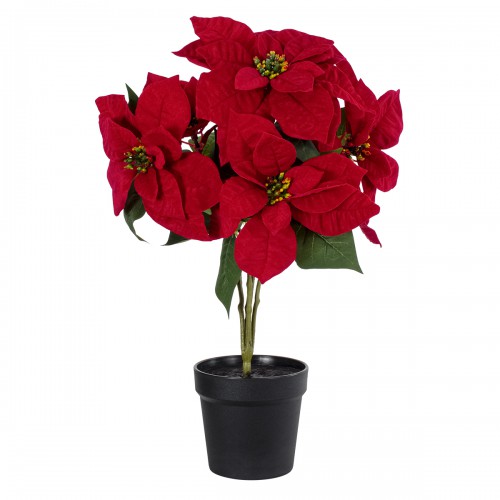 GloboStar® Artificial Garden CHRISTMASS FLOWER EUPHORBIA 20365 Τεχνητό Διακοσμητικό Χριστουγεννιάτικο Λουλούδι Αλεξανδρινό Υ49cm Διακόσμηση - Φως - Χαλιά GloboStar® Artificial Garden CHRISTMASS FLOWER EUPHORBIA 20365 Τεχνητό Διακοσμητικό Χριστουγεννιάτικο Λουλούδι Αλεξανδρινό Υ49cm Διακόσμηση - Φως - Χαλιά