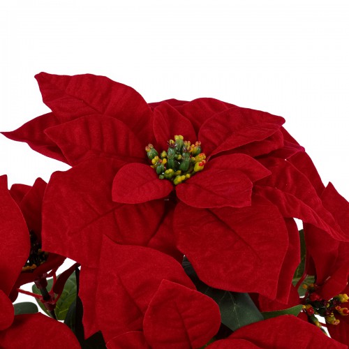 GloboStar® Artificial Garden CHRISTMASS FLOWER EUPHORBIA 20365 Τεχνητό Διακοσμητικό Χριστουγεννιάτικο Λουλούδι Αλεξανδρινό Υ49cm Διακόσμηση - Φως - Χαλιά GloboStar® Artificial Garden CHRISTMASS FLOWER EUPHORBIA 20365 Τεχνητό Διακοσμητικό Χριστουγεννιάτικο Λουλούδι Αλεξανδρινό Υ49cm Διακόσμηση - Φως - Χαλιά