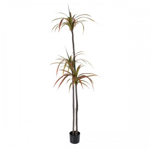 GloboStar® Artificial Garden DRAGON BLOOD TREE 20371 Τεχνητό Διακοσμητικό Φυτό Δράκαινα Υ220cm Διακόσμηση - Φωτισμός - Χαλιά