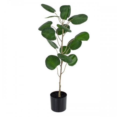 GloboStar® Artificial Garden POLYSCIAS BALFOURIANA TREE 20373 Τεχνητό Διακοσμητικό Φυτό Πολυσκιά Υ70cm Διακόσμηση - Φωτισμός - Χαλιά