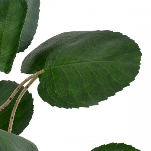 GloboStar® Artificial Garden POLYSCIAS BALFOURIANA TREE 20373 Τεχνητό Διακοσμητικό Φυτό Πολυσκιά Υ70cm Διακόσμηση - Φωτισμός - Χαλιά