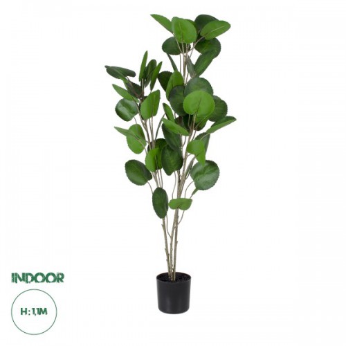 GloboStar® Artificial Garden POLYSCIAS BALFOURIANA TREE 20374 Τεχνητό Διακοσμητικό Φυτό Πολυσκιά Υ110cm Διακόσμηση - Φωτισμός - Χαλιά GloboStar® Artificial Garden POLYSCIAS BALFOURIANA TREE 20374 Τεχνητό Διακοσμητικό Φυτό Πολυσκιά Υ110cm Διακόσμηση - Φωτισμός - Χαλιά