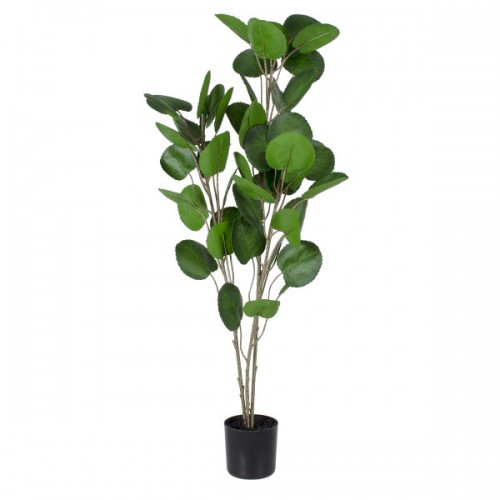 GloboStar® Artificial Garden POLYSCIAS BALFOURIANA TREE 20374 Τεχνητό Διακοσμητικό Φυτό Πολυσκιά Υ110cm Διακόσμηση - Φωτισμός - Χαλιά GloboStar® Artificial Garden POLYSCIAS BALFOURIANA TREE 20374 Τεχνητό Διακοσμητικό Φυτό Πολυσκιά Υ110cm Διακόσμηση - Φωτισμός - Χαλιά