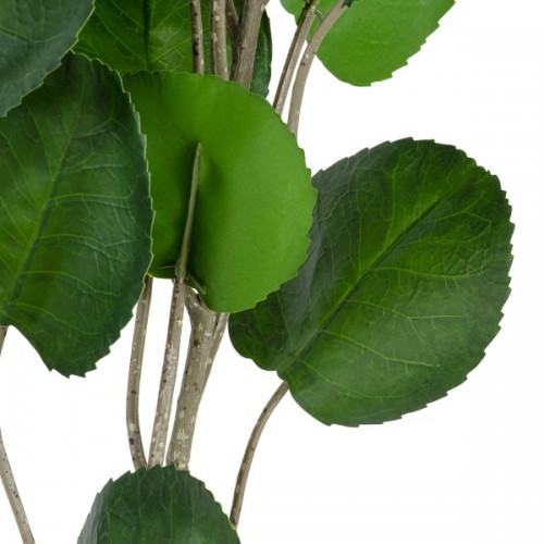 GloboStar® Artificial Garden POLYSCIAS BALFOURIANA TREE 20374 Τεχνητό Διακοσμητικό Φυτό Πολυσκιά Υ110cm Διακόσμηση - Φωτισμός - Χαλιά GloboStar® Artificial Garden POLYSCIAS BALFOURIANA TREE 20374 Τεχνητό Διακοσμητικό Φυτό Πολυσκιά Υ110cm Διακόσμηση - Φωτισμός - Χαλιά