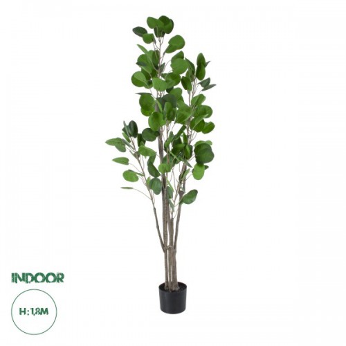GloboStar® Artificial Garden POLYSCIAS BALFOURIANA TREE 20375 Τεχνητό Διακοσμητικό Φυτό Πολυσκιά Υ180cm Διακόσμηση - Φωτισμός - Χαλιά