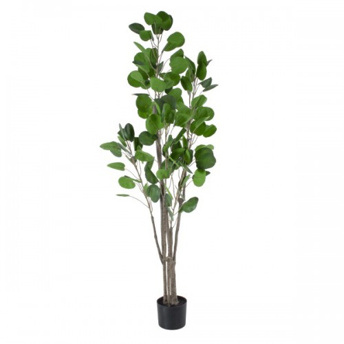 GloboStar® Artificial Garden POLYSCIAS BALFOURIANA TREE 20375 Τεχνητό Διακοσμητικό Φυτό Πολυσκιά Υ180cm Διακόσμηση - Φωτισμός - Χαλιά