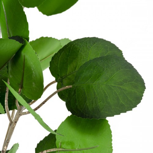 GloboStar® Artificial Garden POLYSCIAS BALFOURIANA TREE 20375 Τεχνητό Διακοσμητικό Φυτό Πολυσκιά Υ180cm Διακόσμηση - Φωτισμός - Χαλιά