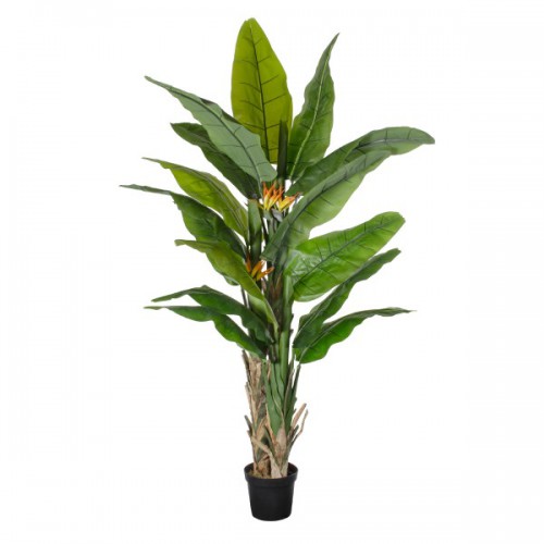 GloboStar® Artificial Garden BANANA STRELITZIA REGINAE 20381 Τεχνητό Διακοσμητικό Φυτό Μπανανιά - Στρελίτσια - Πουλί του Παραδείσου Υ230cm Διακόσμηση - Φωτισμός - Χαλιά GloboStar® Artificial Garden BANANA STRELITZIA REGINAE 20381 Τεχνητό Διακοσμητικό Φυτό Μπανανιά - Στρελίτσια - Πουλί του Παραδείσου Υ230cm Διακόσμηση - Φωτισμός - Χαλιά