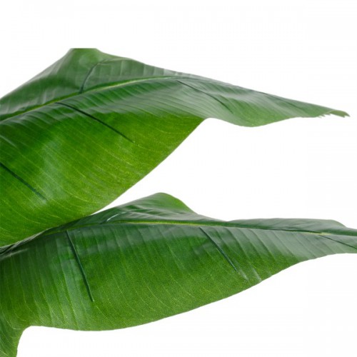 GloboStar® Artificial Garden BANANA STRELITZIA REGINAE 20381 Τεχνητό Διακοσμητικό Φυτό Μπανανιά - Στρελίτσια - Πουλί του Παραδείσου Υ230cm Διακόσμηση - Φωτισμός - Χαλιά GloboStar® Artificial Garden BANANA STRELITZIA REGINAE 20381 Τεχνητό Διακοσμητικό Φυτό Μπανανιά - Στρελίτσια - Πουλί του Παραδείσου Υ230cm Διακόσμηση - Φωτισμός - Χαλιά