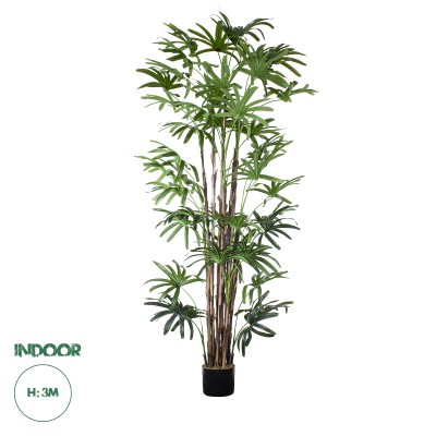 GloboStar® Artificial Garden BROADLEAF LADY PALM TREE 20384 Τεχνητό Διακοσμητικό Φυτό Πλατύφυλλος Φοίνικας Μπαμπού Υ300cm GloboStar® Artificial Garden BROADLEAF LADY PALM TREE 20384 Τεχνητό Διακοσμητικό Φυτό Πλατύφυλλος Φοίνικας Μπαμπού Υ300cm