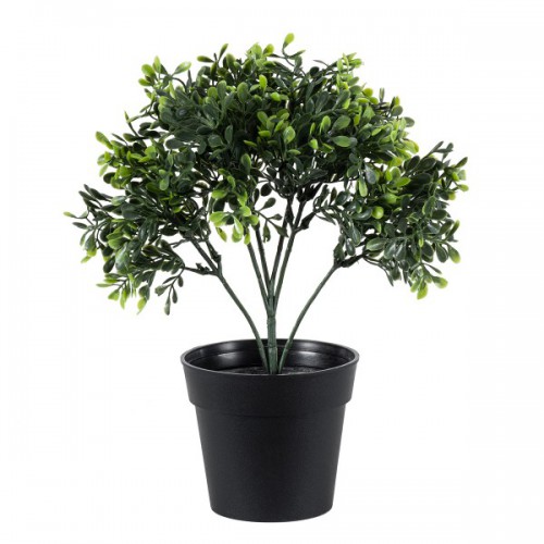 GloboStar® Artificial Garden BUXUS 20387 Τεχνητό Διακοσμητικό Φυτό Πυξός Υ30cm Διακόσμηση - Φωτισμός - Χαλιά GloboStar® Artificial Garden BUXUS 20387 Τεχνητό Διακοσμητικό Φυτό Πυξός Υ30cm Διακόσμηση - Φωτισμός - Χαλιά