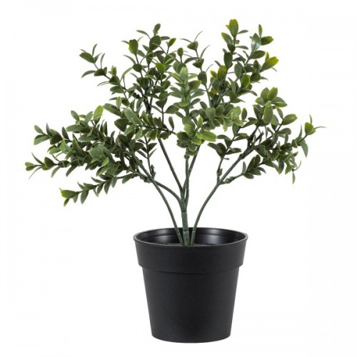 GloboStar® Artificial Garden BUXUS 20388 Τεχνητό Διακοσμητικό Φυτό Πυξός Υ30cm Διακόσμηση - Φωτισμός - Χαλιά GloboStar® Artificial Garden BUXUS 20388 Τεχνητό Διακοσμητικό Φυτό Πυξός Υ30cm Διακόσμηση - Φωτισμός - Χαλιά