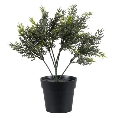 GloboStar® Artificial Garden LEMON CYPRESS 20389 Τεχνητό Διακοσμητικό Φυτό Λεμονόκυπάρισσο Υ30cm GloboStar® Artificial Garden LEMON CYPRESS 20389 Τεχνητό Διακοσμητικό Φυτό Λεμονόκυπάρισσο Υ30cm