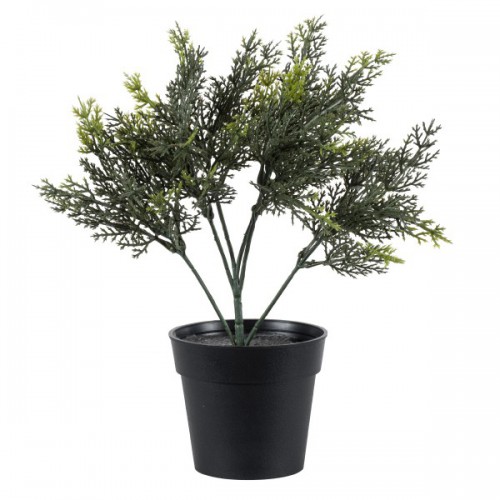 GloboStar® Artificial Garden LEMON CYPRESS 20389 Τεχνητό Διακοσμητικό Φυτό Λεμονόκυπάρισσο Υ30cm Διακόσμηση - Φωτισμός - Χαλιά GloboStar® Artificial Garden LEMON CYPRESS 20389 Τεχνητό Διακοσμητικό Φυτό Λεμονόκυπάρισσο Υ30cm Διακόσμηση - Φωτισμός - Χαλιά