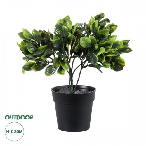 GloboStar® Artificial Garden ANUBIA BARTERI 20390 Τεχνητό Διακοσμητικό Φυτό Ανούμπια Υ30cm Διακόσμηση - Φωτισμός - Χαλιά GloboStar® Artificial Garden ANUBIA BARTERI 20390 Τεχνητό Διακοσμητικό Φυτό Ανούμπια Υ30cm Διακόσμηση - Φωτισμός - Χαλιά