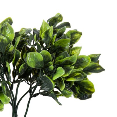 GloboStar® Artificial Garden ANUBIA BARTERI 20390 Τεχνητό Διακοσμητικό Φυτό Ανούμπια Υ30cm Διακόσμηση - Φωτισμός - Χαλιά GloboStar® Artificial Garden ANUBIA BARTERI 20390 Τεχνητό Διακοσμητικό Φυτό Ανούμπια Υ30cm Διακόσμηση - Φωτισμός - Χαλιά