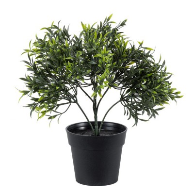GloboStar® Artificial Garden BABY BAMBOO 20391 Τεχνητό Διακοσμητικό Φυτό Μικρό Μπαμπού Υ30cm GloboStar® Artificial Garden BABY BAMBOO 20391 Τεχνητό Διακοσμητικό Φυτό Μικρό Μπαμπού Υ30cm