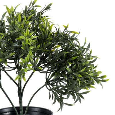 GloboStar® Artificial Garden BABY BAMBOO 20391 Τεχνητό Διακοσμητικό Φυτό Μικρό Μπαμπού Υ30cm Διακόσμηση - Φωτισμός - Χαλιά GloboStar® Artificial Garden BABY BAMBOO 20391 Τεχνητό Διακοσμητικό Φυτό Μικρό Μπαμπού Υ30cm Διακόσμηση - Φωτισμός - Χαλιά