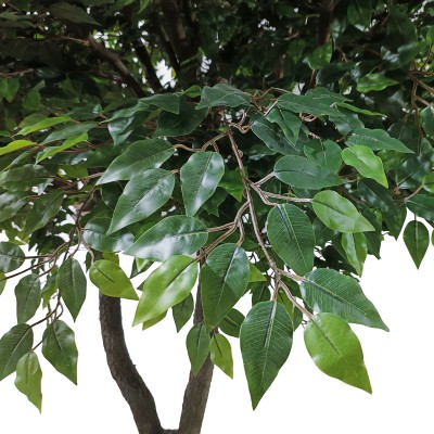 GloboStar® Artificial Garden BANYAN FICUS TREE 20361 Τεχνητό Διακοσμητικό Δέντρο Ινδική Συκιά Φίκος Υ300cm Διακόσμηση - Φως - Χαλιά GloboStar® Artificial Garden BANYAN FICUS TREE 20361 Τεχνητό Διακοσμητικό Δέντρο Ινδική Συκιά Φίκος Υ300cm Διακόσμηση - Φως - Χαλιά
