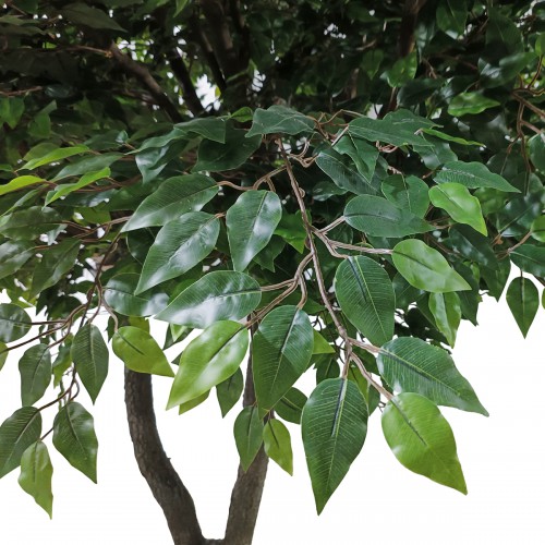 GloboStar® Artificial Garden BANYAN FICUS TREE 20361 Τεχνητό Διακοσμητικό Δέντρο Ινδική Συκιά Φίκος Υ300cm Διακόσμηση - Φως - Χαλιά GloboStar® Artificial Garden BANYAN FICUS TREE 20361 Τεχνητό Διακοσμητικό Δέντρο Ινδική Συκιά Φίκος Υ300cm Διακόσμηση - Φως - Χαλιά