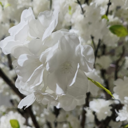 GloboStar® Artificial Garden BIANCA CHERRY BLOSSOM TREE 20362 Τεχνητό Διακοσμητικό Δέντρο Λευκό Άνθος Κερασιάς Υ350cm Διακόσμηση - Φως - Χαλιά GloboStar® Artificial Garden BIANCA CHERRY BLOSSOM TREE 20362 Τεχνητό Διακοσμητικό Δέντρο Λευκό Άνθος Κερασιάς Υ350cm Διακόσμηση - Φως - Χαλιά