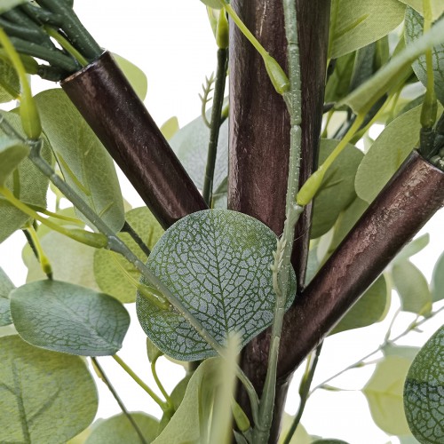 GloboStar® Artificial Garden EYCALYPTUS CINEREA ARCH 20434 Τεχνητή Διακοσμητική Αψίδα Ευκάλυπτου Μ250cm x Υ250cm Διακόσμηση - Φως - Χαλιά GloboStar® Artificial Garden EYCALYPTUS CINEREA ARCH 20434 Τεχνητή Διακοσμητική Αψίδα Ευκάλυπτου Μ250cm x Υ250cm Διακόσμηση - Φως - Χαλιά