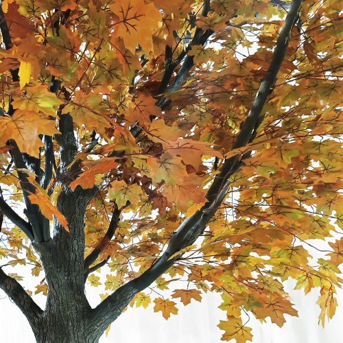 GloboStar® Artificial Garden ACER RUBRUM SYCAMORE TREE 20437 Τεχνητό Διακοσμητικό Δέντρο Κόκκινος Σφένδαμος Υ400cm Διακόσμηση - Φως - Χαλιά GloboStar® Artificial Garden ACER RUBRUM SYCAMORE TREE 20437 Τεχνητό Διακοσμητικό Δέντρο Κόκκινος Σφένδαμος Υ400cm Διακόσμηση - Φως - Χαλιά