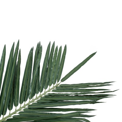 GloboStar® Artificial Garden COCONUT PALM TREE 20435 Τεχνητό Διακοσμητικό Φοινικόδεντρο Κοκοφοίνικας Υ400cm GloboStar® Artificial Garden COCONUT PALM TREE 20435 Τεχνητό Διακοσμητικό Φοινικόδεντρο Κοκοφοίνικας Υ400cm