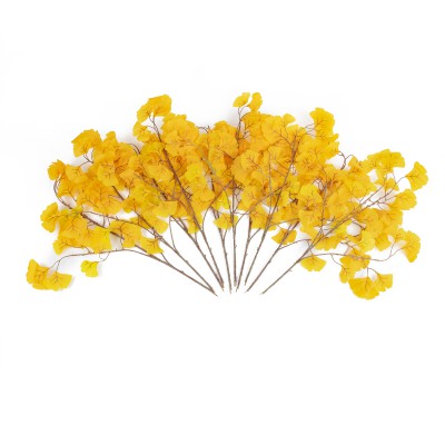 GloboStar® Artificial Garden GINKGO BRANCH 20229 10 x Τεχνητά Διακοσμητικά Κλαδία Γκίγκο Π50 x Υ65cm GloboStar® Artificial Garden GINKGO BRANCH 20229 10 x Τεχνητά Διακοσμητικά Κλαδία Γκίγκο Π50 x Υ65cm
