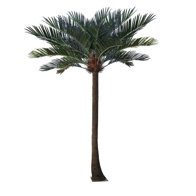 GloboStar® Artificial Garden COCONUT PALM TREE 20595 Τεχνητό Διακοσμητικό Φοινικόδεντρο Κοκοφοίνικας Υ600cm GloboStar® Artificial Garden COCONUT PALM TREE 20595 Τεχνητό Διακοσμητικό Φοινικόδεντρο Κοκοφοίνικας Υ600cm