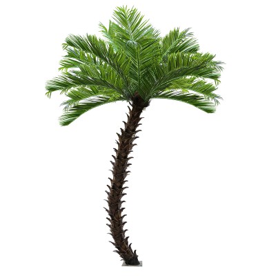 GloboStar® Artificial Garden PHOENIX ROEBELENII PALM TREE 20597 Τεχνητό Διακοσμητικό Φυτό Φοινικόδεντρο Ρομπελίνι Εξωτερικού Χώρου IP68 UV Certified Protection Υ600cm GloboStar® Artificial Garden PHOENIX ROEBELENII PALM TREE 20597 Τεχνητό Διακοσμητικό Φυτό Φοινικόδεντρο Ρομπελίνι Εξωτερικού Χώρου IP68 UV Certified Protection Υ600cm