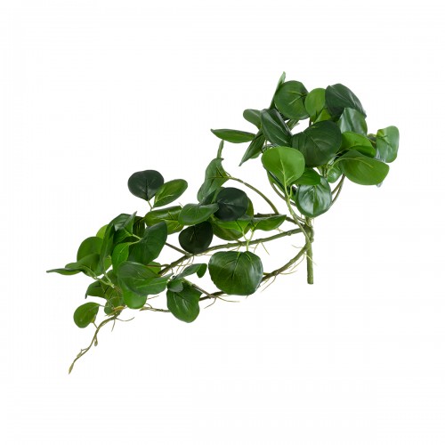 GloboStar® Artificial Garden HANGING PEPEROMIA 20599 Τεχνητό Διακοσμητικό Κρεμαστό Φυτό Πεπερόμια Μ30 x Π31 x Υ50cm Διακόσμηση - Φως - Χαλιά GloboStar® Artificial Garden HANGING PEPEROMIA 20599 Τεχνητό Διακοσμητικό Κρεμαστό Φυτό Πεπερόμια Μ30 x Π31 x Υ50cm Διακόσμηση - Φως - Χαλιά
