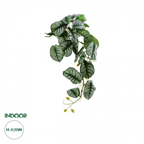 GloboStar® Artificial Garden HANGING ALOCASIA 20601 Τεχνητό Διακοσμητικό Κρεμαστό Φυτό Αλοκάσια Μ28 x Π27 x Υ50cm Διακόσμηση - Φως - Χαλιά GloboStar® Artificial Garden HANGING ALOCASIA 20601 Τεχνητό Διακοσμητικό Κρεμαστό Φυτό Αλοκάσια Μ28 x Π27 x Υ50cm Διακόσμηση - Φως - Χαλιά