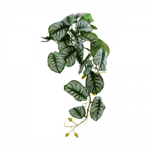 GloboStar® Artificial Garden HANGING ALOCASIA 20601 Τεχνητό Διακοσμητικό Κρεμαστό Φυτό Αλοκάσια Μ28 x Π27 x Υ50cm Διακόσμηση - Φως - Χαλιά GloboStar® Artificial Garden HANGING ALOCASIA 20601 Τεχνητό Διακοσμητικό Κρεμαστό Φυτό Αλοκάσια Μ28 x Π27 x Υ50cm Διακόσμηση - Φως - Χαλιά