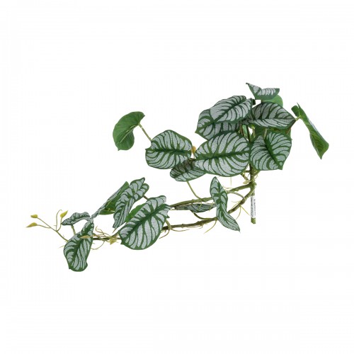 GloboStar® Artificial Garden HANGING ALOCASIA 20601 Τεχνητό Διακοσμητικό Κρεμαστό Φυτό Αλοκάσια Μ28 x Π27 x Υ50cm Διακόσμηση - Φως - Χαλιά GloboStar® Artificial Garden HANGING ALOCASIA 20601 Τεχνητό Διακοσμητικό Κρεμαστό Φυτό Αλοκάσια Μ28 x Π27 x Υ50cm Διακόσμηση - Φως - Χαλιά