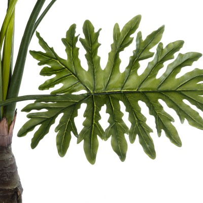 GloboStar® Artificial Garden TARO 20687 Τεχνητό Διακοσμητικό Φυτό Κολοκασία Φ150 x Υ180cm Διακόσμηση - Φως - Χαλιά GloboStar® Artificial Garden TARO 20687 Τεχνητό Διακοσμητικό Φυτό Κολοκασία Φ150 x Υ180cm Διακόσμηση - Φως - Χαλιά
