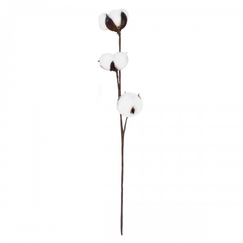GloboStar® Artificial Garden COTTON BRANCH 20493 Τεχνητό Διακοσμητικό Κλαδί βαμβάκι Υ43cm GloboStar® Artificial Garden COTTON BRANCH 20493 Τεχνητό Διακοσμητικό Κλαδί βαμβάκι Υ43cm
