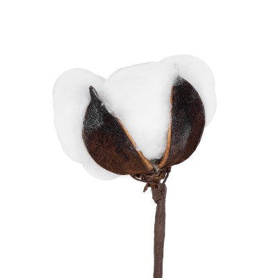 GloboStar® Artificial Garden COTTON BRANCH 20493 Τεχνητό Διακοσμητικό Κλαδί βαμβάκι Υ43cm GloboStar® Artificial Garden COTTON BRANCH 20493 Τεχνητό Διακοσμητικό Κλαδί βαμβάκι Υ43cm
