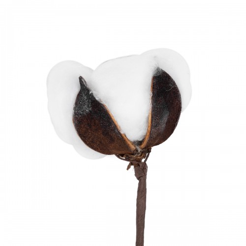 GloboStar® Artificial Garden COTTON BRANCH 20493 Τεχνητό Διακοσμητικό Κλαδί βαμβάκι Υ43cm GloboStar® Artificial Garden COTTON BRANCH 20493 Τεχνητό Διακοσμητικό Κλαδί βαμβάκι Υ43cm
