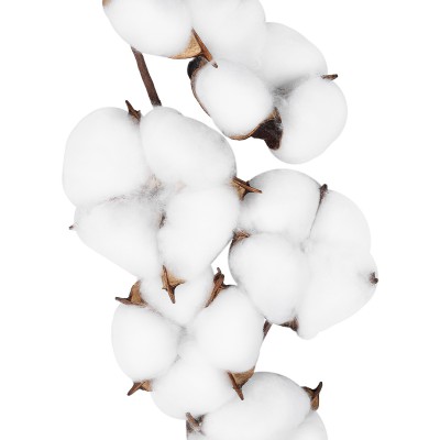 GloboStar® Artificial Garden COTTON BRANCH 20558 Τεχνητό Διακοσμητικό Κλαδί βαμβάκι Υ45cm Διακόσμηση - Φως - Χαλιά