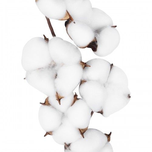 GloboStar® Artificial Garden COTTON BRANCH 20558 Τεχνητό Διακοσμητικό Κλαδί βαμβάκι Υ45cm Διακόσμηση - Φως - Χαλιά